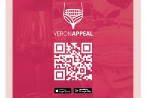 logo veronappeal